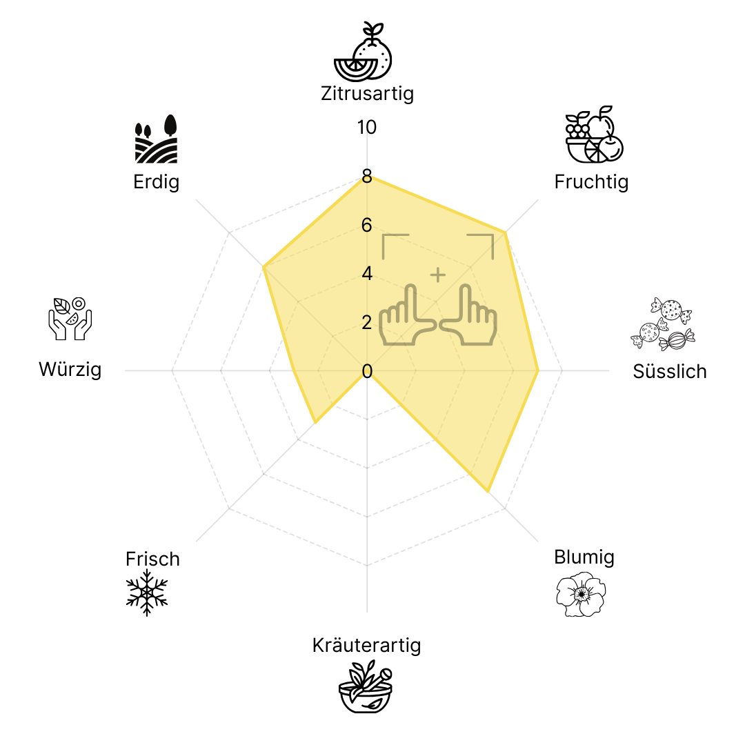 PureFocus Konzentration und Wohlbefinden